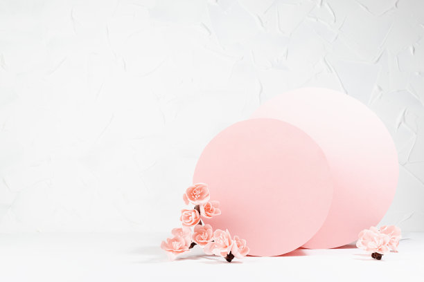 温柔的节日情人节的背景-粉红色的樱花，粉红色的圆圈组成的场景在白色的内部，展示化妆品，商品，品牌，设计，卡片，海报，传单的模型。图片下载