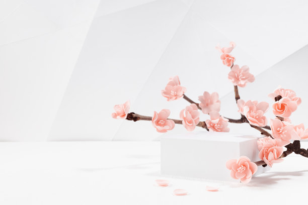 温柔的春天舞台——方形白色讲台模型，白色背景下阳光下的粉色樱花枝，几何都市风格。模板介绍化妆品产品，商品，品牌。图片下载