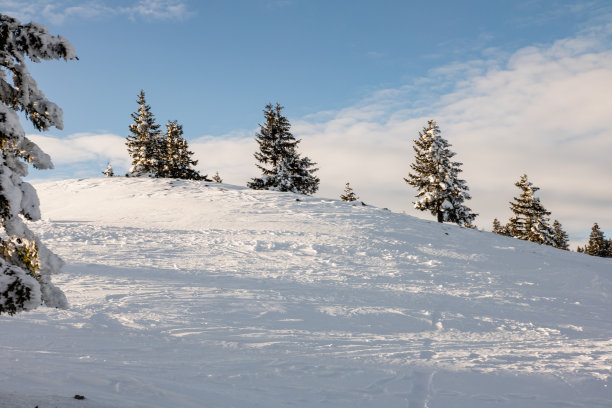 照片的雪山和云杉在阳光明媚的冬天的一天图片下载