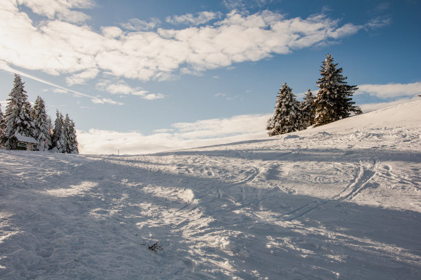 照片的雪山和云杉在阳光明媚的冬天的一天图片下载
