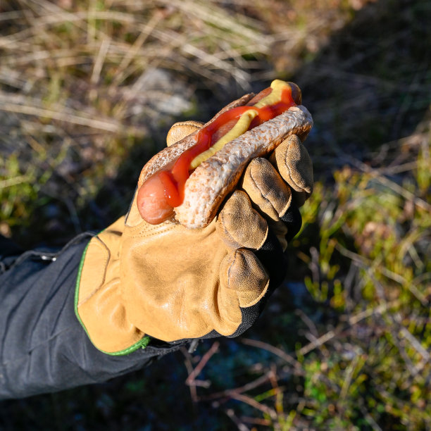 男子在森林里拿着烤制的热狗图片下载