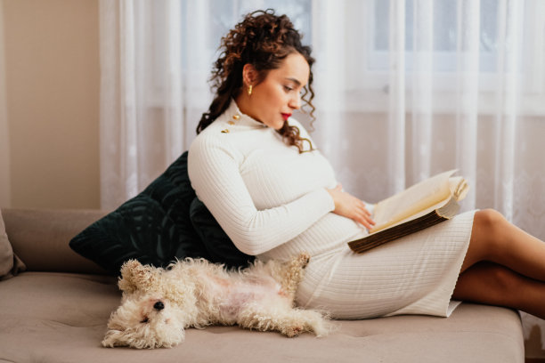 年轻的孕妇在她公寓的沙发上看书，她的宠物狗和她在一起图片下载