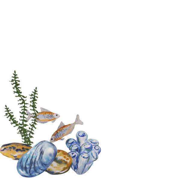 水彩画的海底世界的海洋。光栅手工制作的。可用于海报，t恤，标签，明信片，设计。图片下载