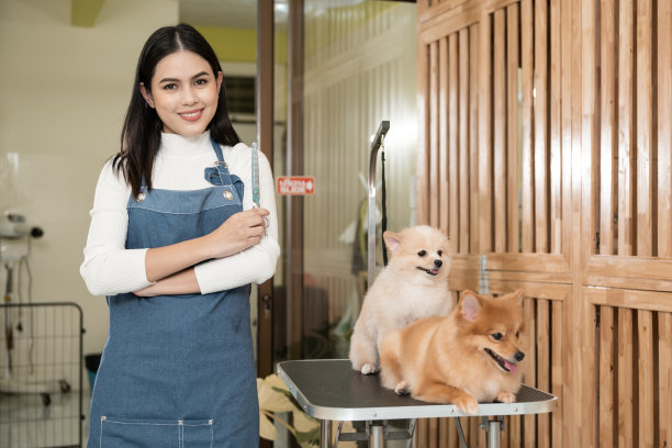 女性专业美容师肖像在宠物水疗美容沙龙图片下载