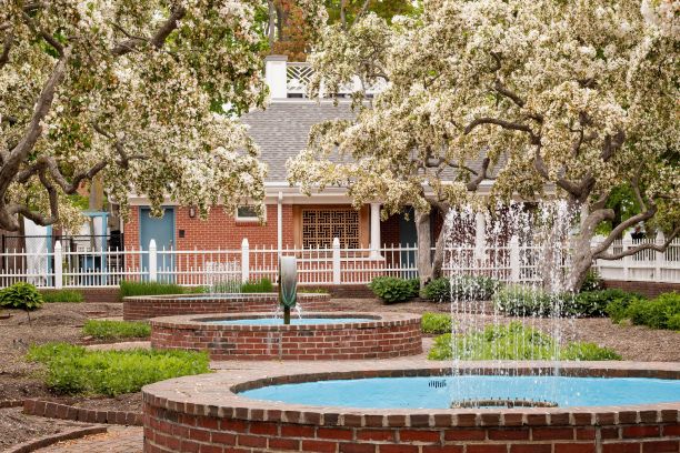 美丽的喷泉周围的开花树木在城市公园图片下载