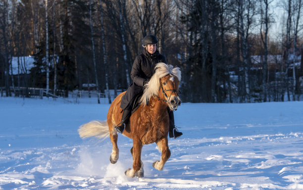 女子骑马图片下载
