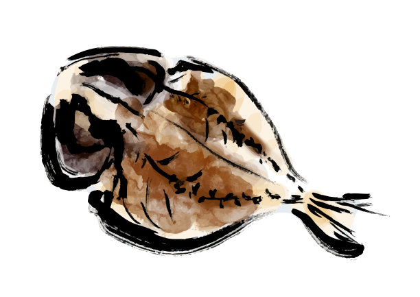 马鲛鱼干剪贴艺术图片下载