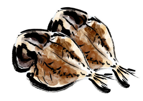 马鲛鱼干剪贴艺术图片下载