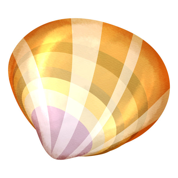 中国mactra图片下载