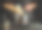 厨师在餐厅厨房里用平底锅准备意大利饺子。特写的厨师手，而工作图片下载