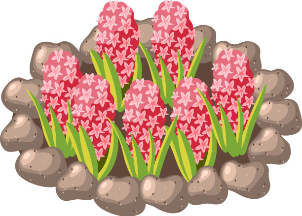 等距花圃图片下载