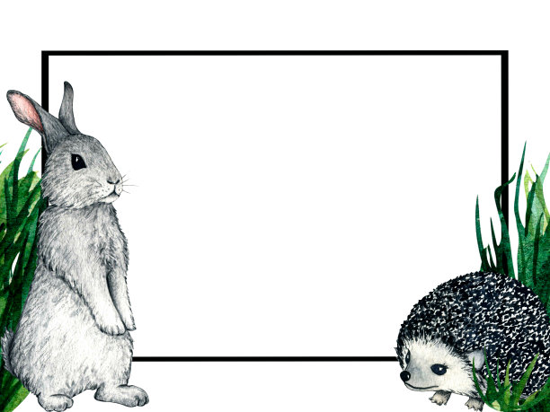 水彩框架与刺猬和野兔，兔子在白色的背景。儿童自然插画设计。图片下载