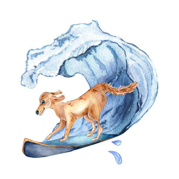 卡通狗在浪上冲浪水彩插图孤立在白色上。图片下载