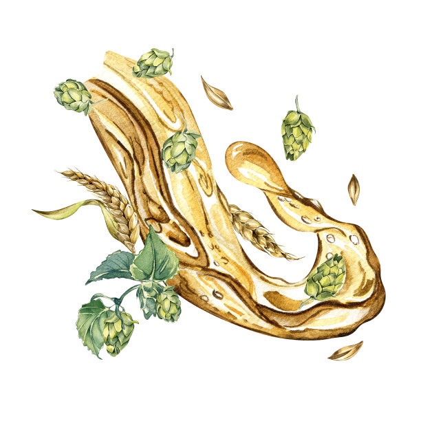 构图以飞溅啤酒、啤酒花球果和小麦穗水彩插图隔离在白色上。图片下载