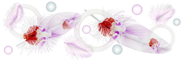 带有羽毛的艺术壁纸。现代创意设计和丰富多彩的纹理为家庭装饰，横幅和印刷品。矢量插图。图片下载