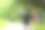 健康的女性放松后，冷静下来，看看智能手表检查计时运行。亚洲跑步女子在公园健身和慢跑后健身。图片下载