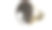 摄影师摄影变焦大镜头，用于摄影照片隔离长巨- 3d渲染图片下载
