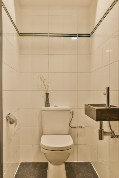 卫生间有厕所和淋浴图片下载