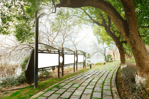 公园森林前的道路平台景观——汽车广告、路面的背景图图片下载