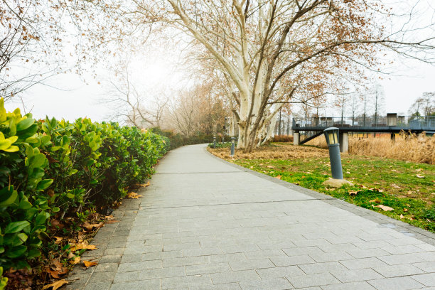 公园小路上的人行道图片下载