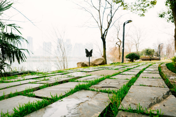 公园森林前的道路平台景观——汽车广告、路面的背景图图片下载