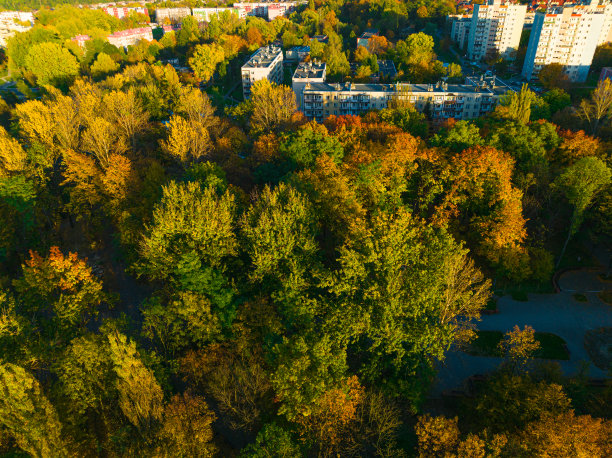 从无人机上看，秋天的公园里有黄色，红色的叶子。图片下载