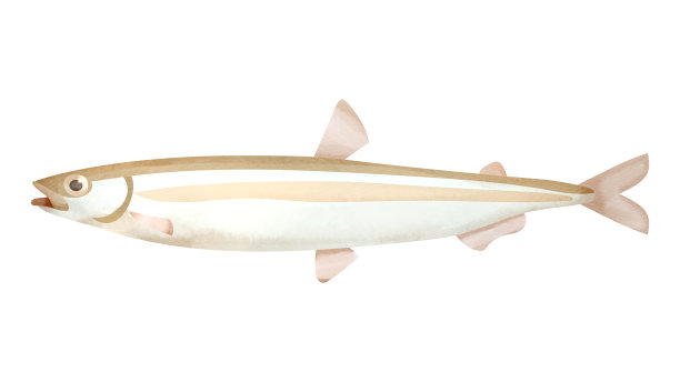 日本池塘熔体图片下载