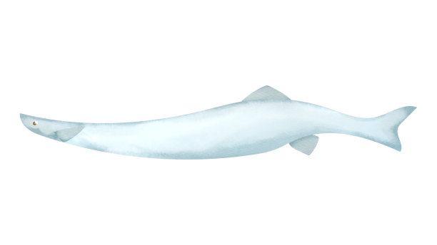 冰的鱼图片下载