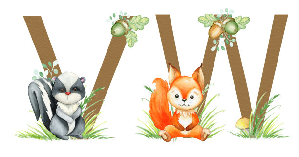 可爱的动物，臭鼬，松鼠，字母，字母表，植物。水彩集，在卡通风格，在一个孤立的背景。图片下载