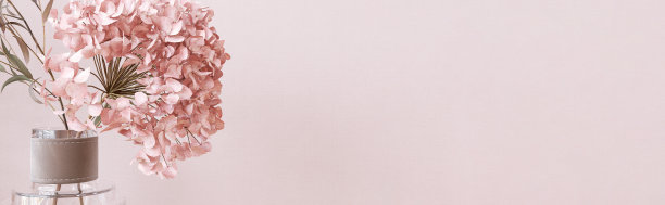 绣球花的花束在现代设计的玻璃花瓶在阳光下粉彩粉红色墙纸墙图片下载