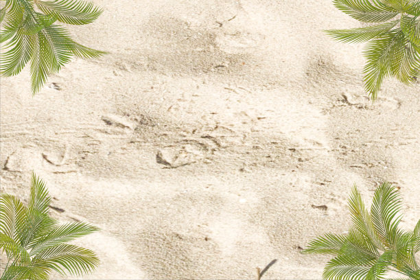 热带绿色棕榈叶树枝孤立在沙滩背景。图片下载