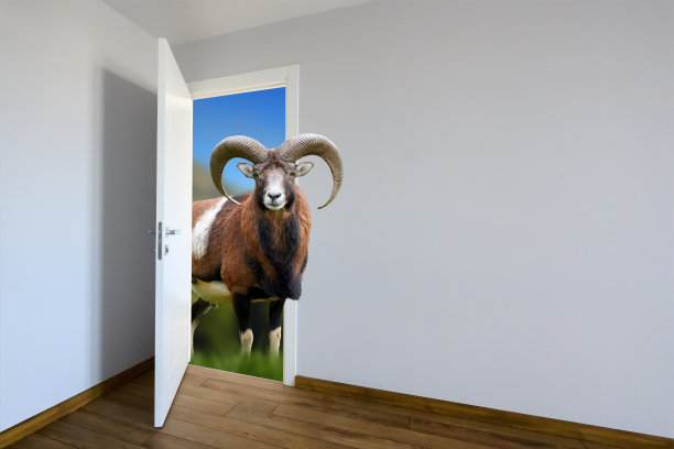 Mouflon entering a door. Animal watching from a wall. Ð¡hild's imagination or a dream图片下载
