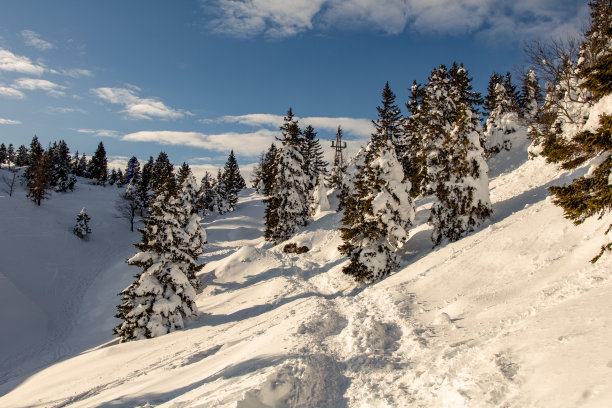 阳光明媚的冬日，斯洛文尼亚Velika planina雪地小径的照片图片下载
