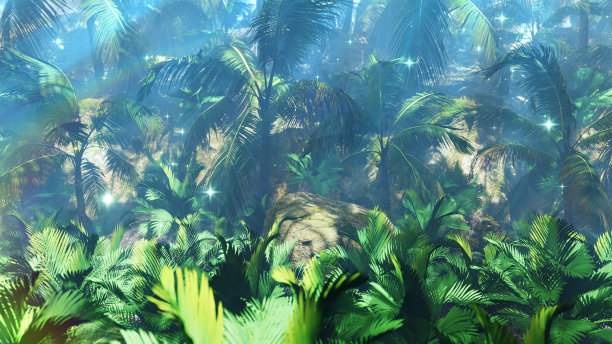 丛林中的夏季棕榈树图片下载