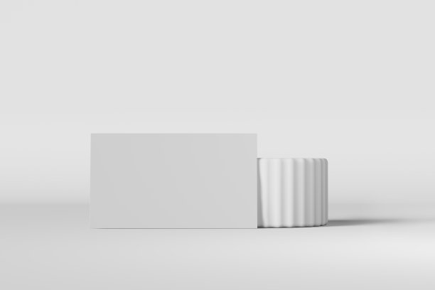 空白名片为品牌标识设计三维渲染真实的模型。平面设计师作品集演示图片下载