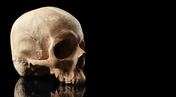头骨孤立在黑色背景上图片下载