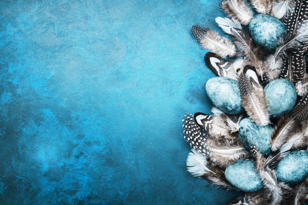 复活节蓝色蛋与彩色鸟羽毛在蓝色背景，俯视图图片下载