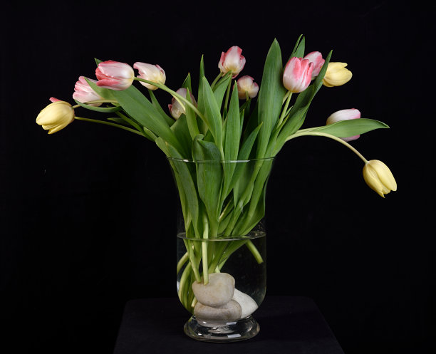 三朵黄玫瑰和十一朵白玫瑰图片下载