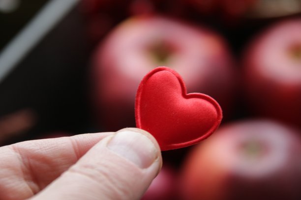 手拿心形苹果为背景的健康食品概念。图片下载