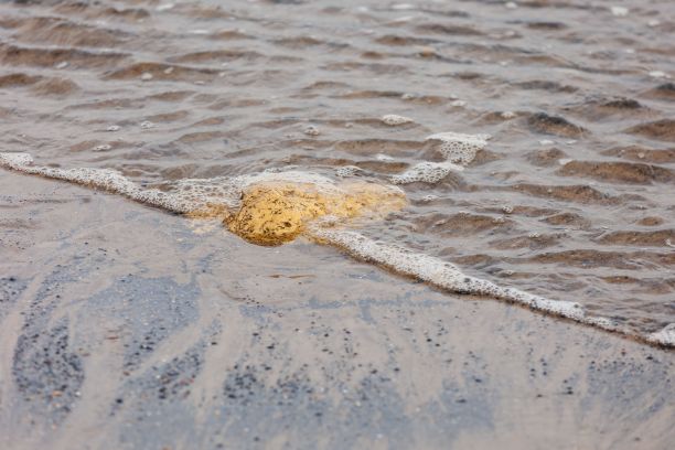 水中大石头的特写镜头图片下载