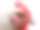 特写和细节的白色鸡头孤立在白色。水平。图片下载