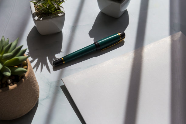 一张空白A4纸、几盆仙人掌和一支笔放在白色桌子上的俯视图图片下载