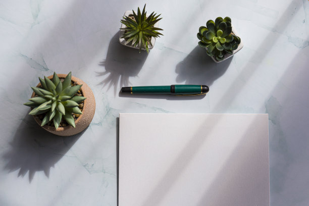 一张空白A4纸、几盆仙人掌和一支笔放在白色桌子上的俯视图图片下载