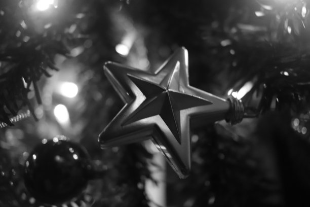 圣诞装饰的黑白照片图片下载