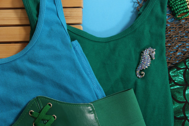 特写镜头的时尚服装与海马胸针图片下载