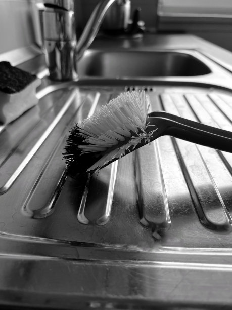 在水池边图片下载