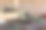 端午节的食物是粽子图片下载