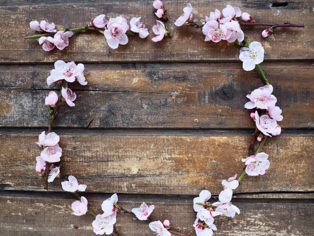 粉红色的苹果树或桃树花在木板上。精致的花序呈圆形排列。软的焦点。主题:春天、度假、水疗、美容、家居。复制空间平铺。静物画图片下载