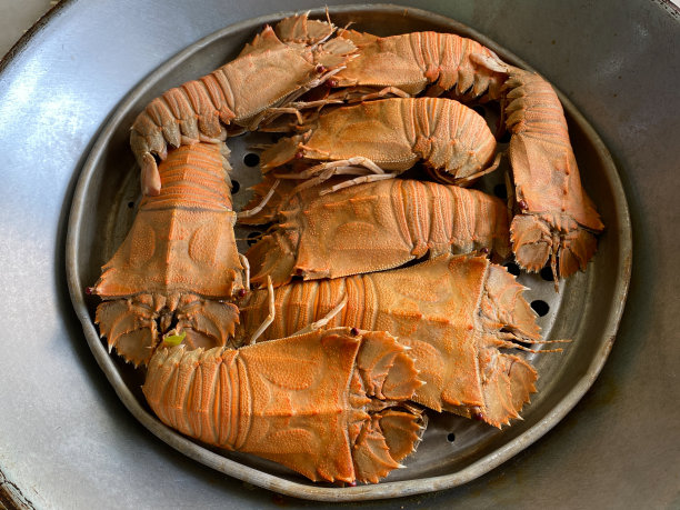 扁头龙虾，东方扁头龙虾，龙虾，龙虾，是一种非常美味的海鲜。能在热带国家的鱼市上找到吗图片下载