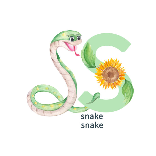 字母S蛇向日葵。可爱的孩子动物和花ABC字母。水彩插图孤立的白色背景。可用于字母或卡片的孩子学习英语词汇和书写。图片下载